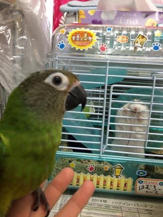 20150407-rrrr.jpg 20150407-rrrr.jpg