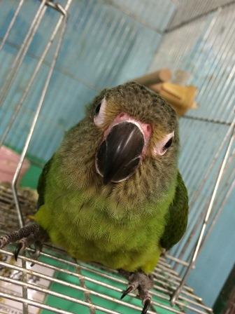 20150407-rrt.jpg 20150407-rrt.jpg