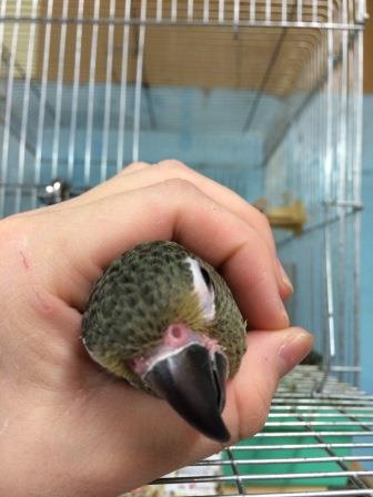 20150407-ttt.jpg 20150407-ttt.jpg