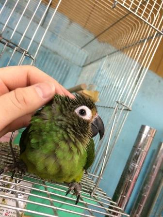 20150407-y.jpg 20150407-y.jpg