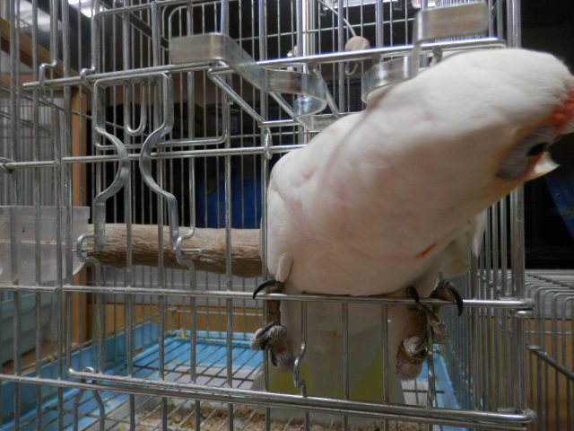 20160131-126.jpg 20160131-126.jpg