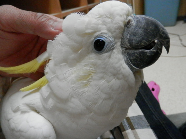 20160229-029.jpg 20160229-029.jpg