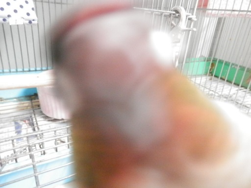 20160430-009.jpg 20160430-009.jpg