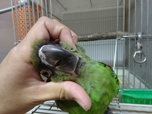 20180130-015a.jpg 20180130-015a.jpg