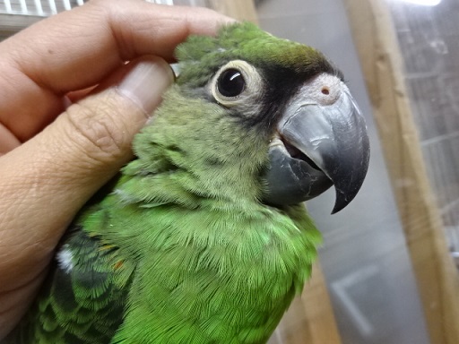 20180130-031a.jpg 20180130-031a.jpg