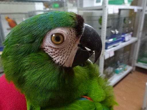 20180331-033a.jpg 20180331-033a.jpg