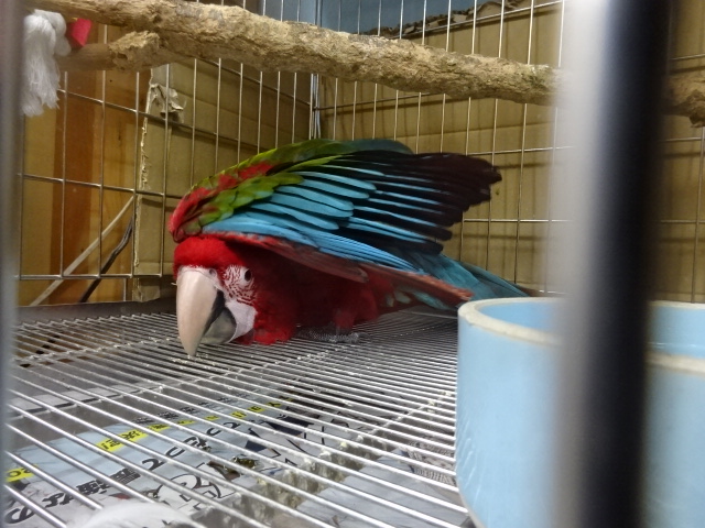 20180630-dsc09728.jpg 20180630-dsc09728.jpg