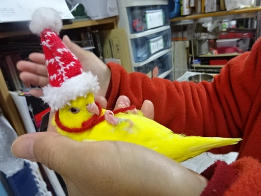 20181130-016.jpg 20181130-016.jpg