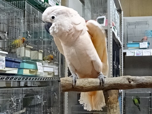 20190128-024.jpg
