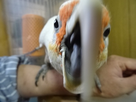 20190319-015.jpg 20190319-015.jpg