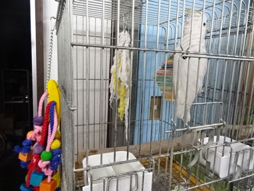 20190831-071a.jpg 20190831-071a.jpg