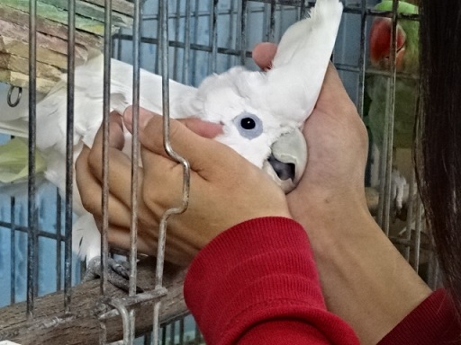 20190831-074a.jpg 20190831-074a.jpg