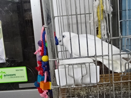 20190831-080a.jpg 20190831-080a.jpg