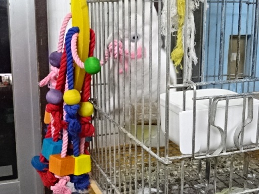 20190831-083a.jpg 20190831-083a.jpg