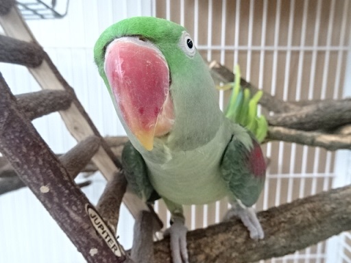 20191118-004_0.jpg 20191118-004_0.jpg
