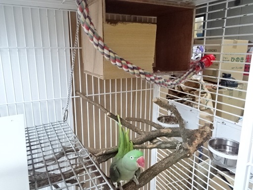 20191118-005_0.jpg 20191118-005_0.jpg