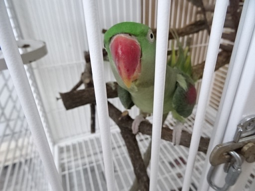 20191118-014_0.jpg 20191118-014_0.jpg